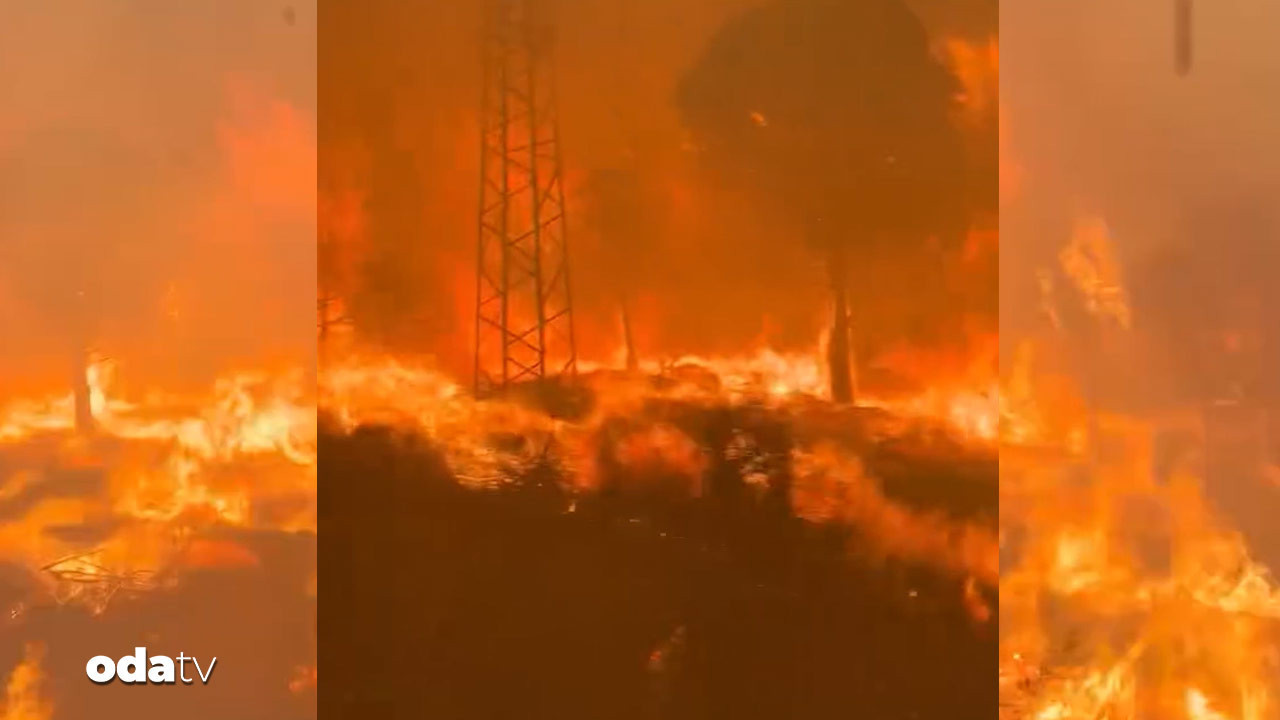 Çanakkale’deki yangından korkunç görüntü: Alevlerin arasında kaldılar