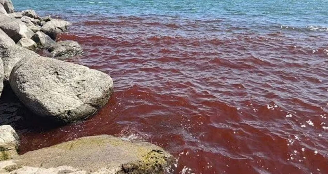 Göl bir anda kan kırmızıya büründü: ‘Son zamanların habercisi’