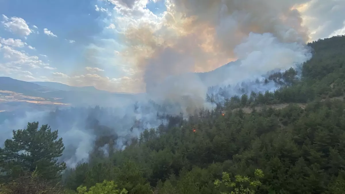 karabukte orman yangini cikti 9rwFYmTW