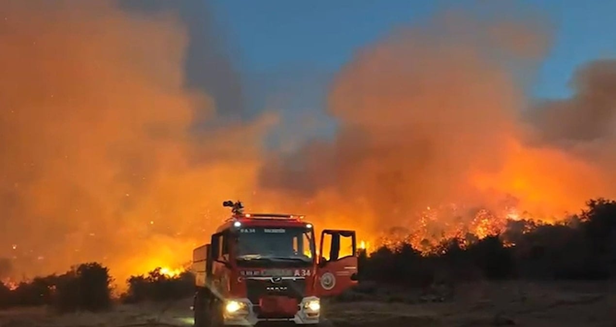 Balıkesir’de ormanlık alandaki yangın korkuttu