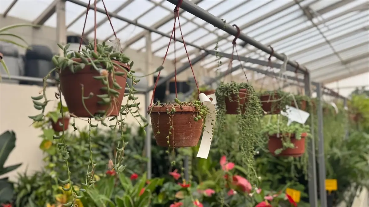 Balkon Bahçeciliği İlgiyi Artırdı