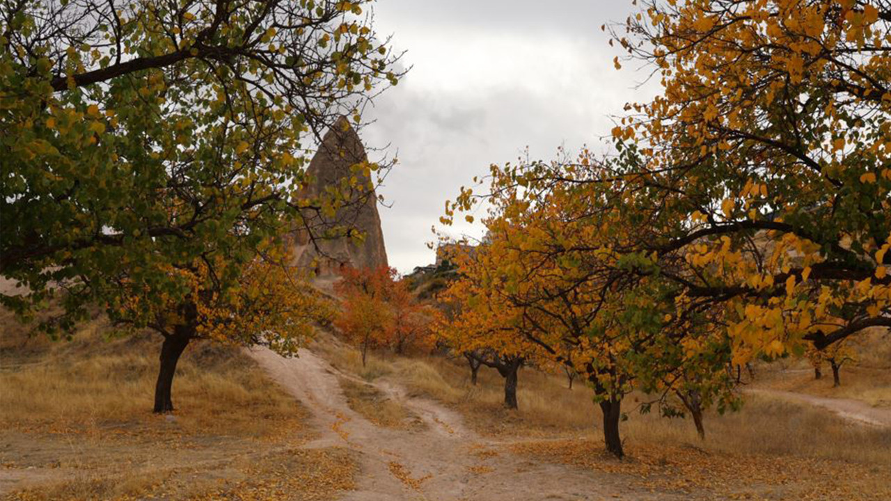 Kartpostal değil Kapadokya: Sonbahar renk kattı