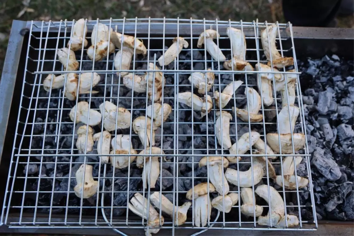 kilosu etle yarisiyor japonlarin gozdesi beyaz altinda hasat basladi xcLk234J.jpg