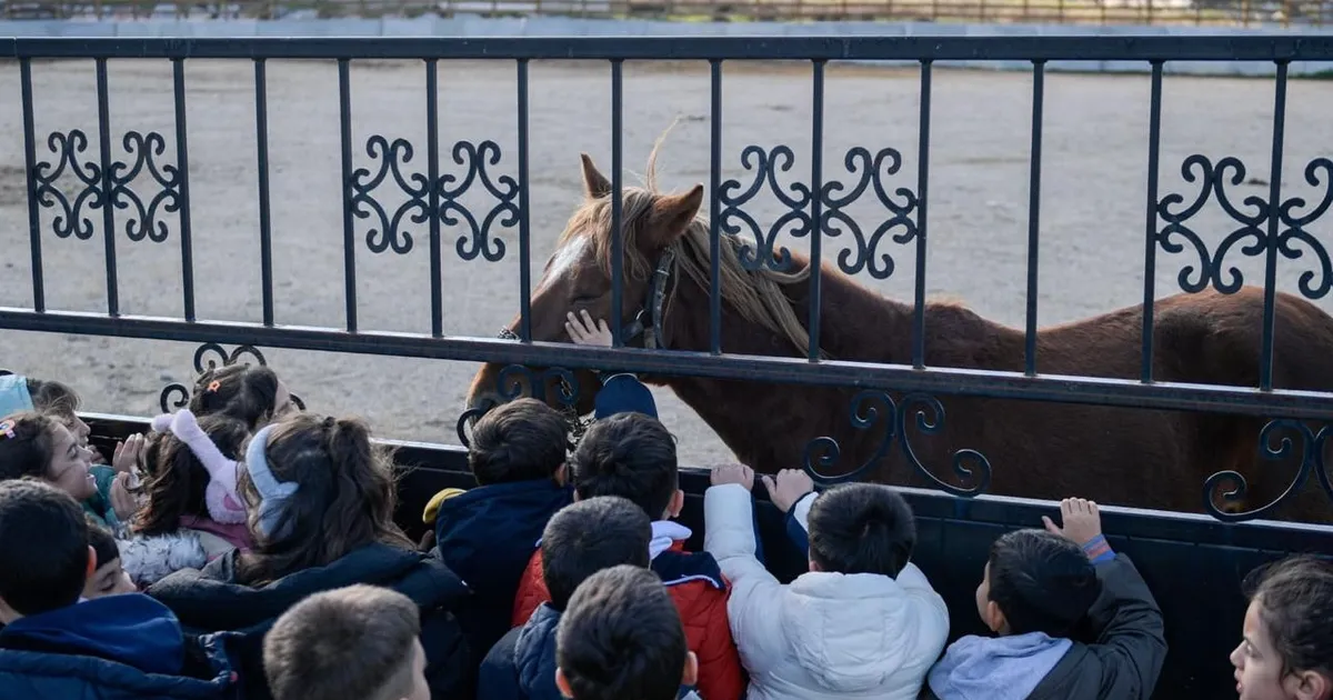 İzmirli çocuklara hayvan sevgisi kazandırılıyor