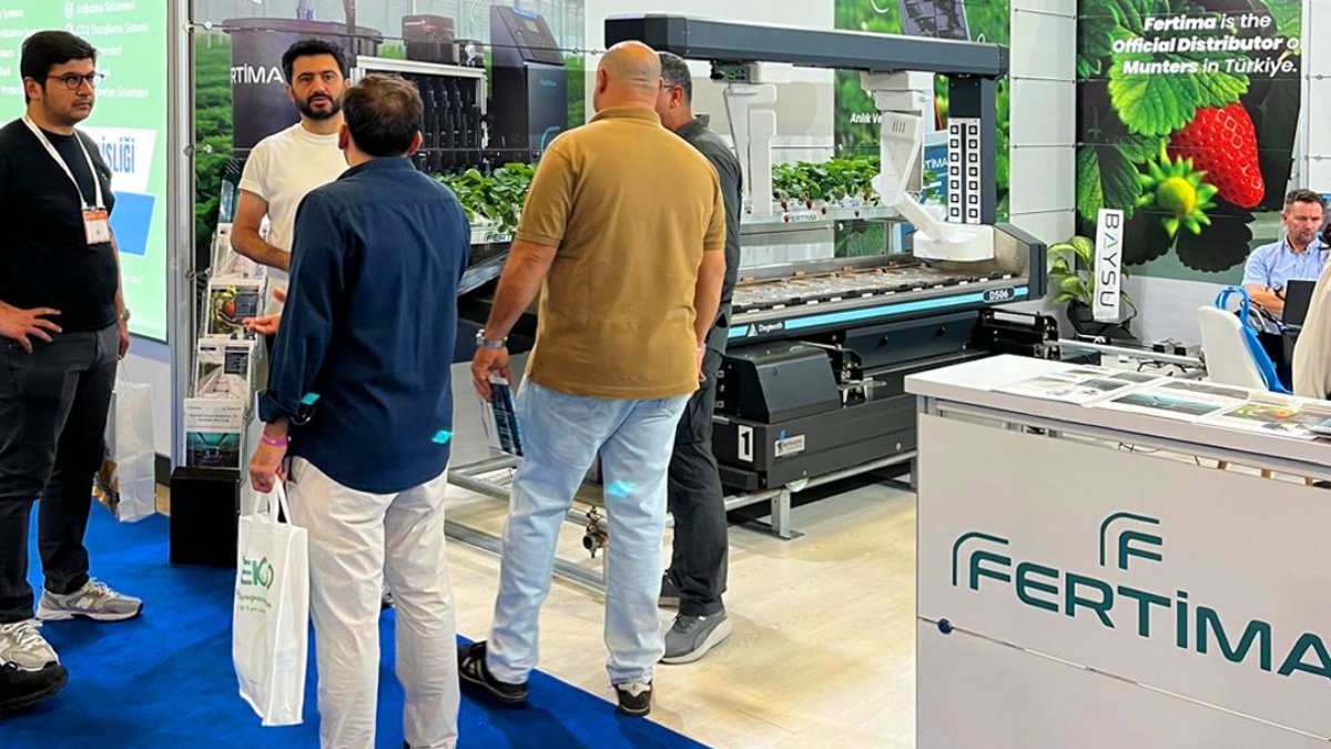 Yapay zekâ artık çilek seralarında