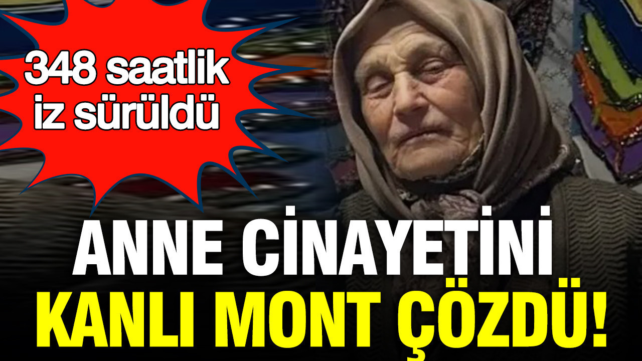 Kanlı Montun Arkasındaki Gizem: Anne Cinayetinde İkinci Tutuklama