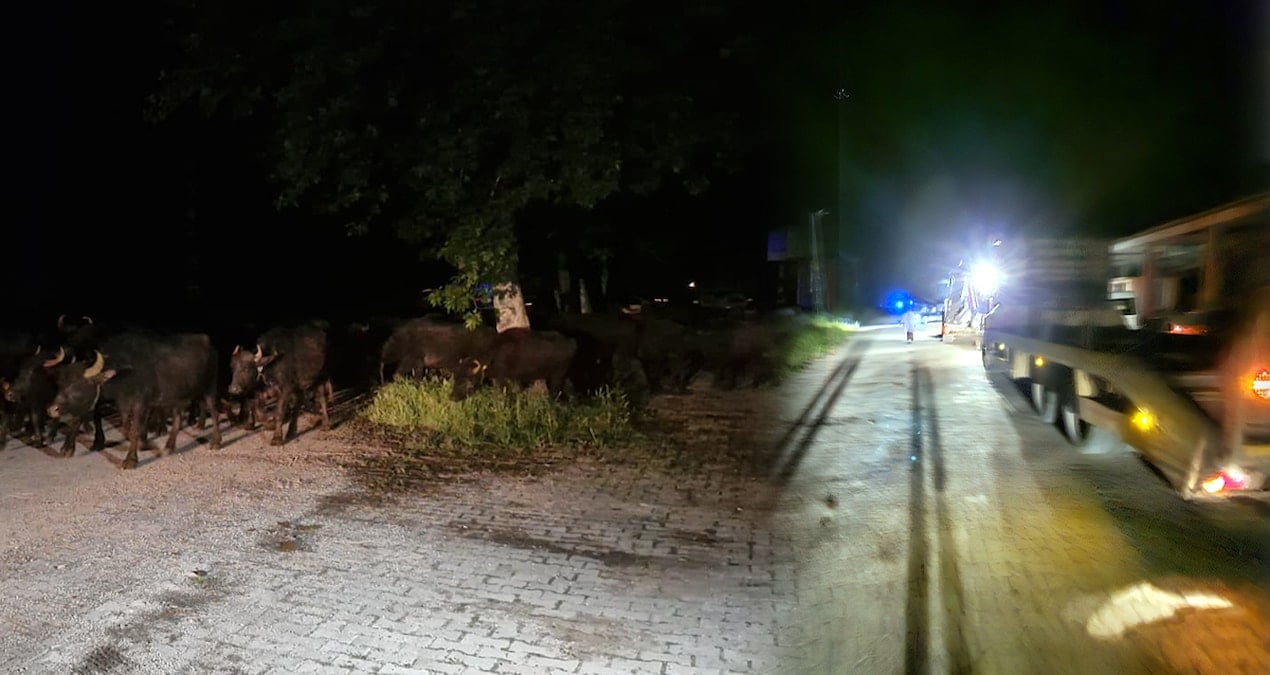 Tokat’ta Taşkın Tehlikesi Nedeniyle Kızılçubuk Köyü Tahliye Ediliyor