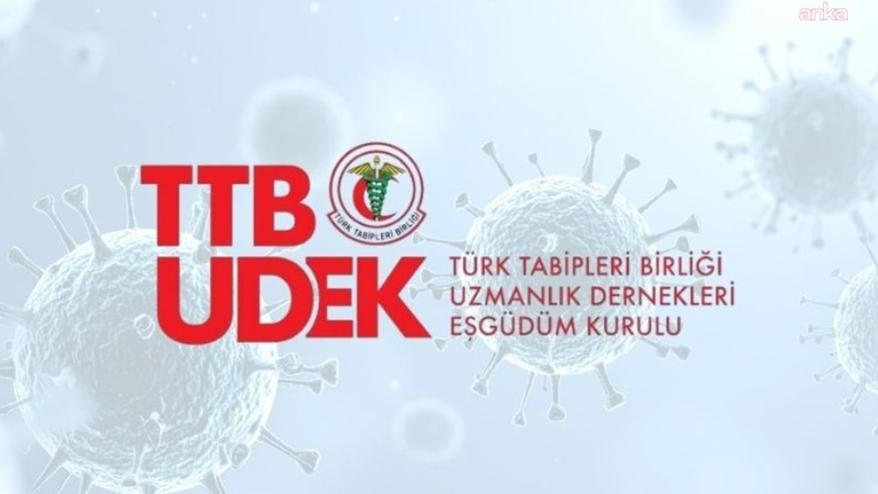 Hantavirüs Salgını Hakkında TTB-UDEK’ten Önemli Açıklama