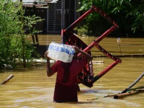 Haber gorseli